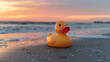 duck on the beach