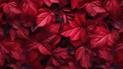 Wall Mural - The fresh tropical red leaves background