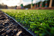 Ground Perspective of Artificial Grass Installation.