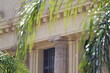 Dettaglio su colonna ionica del Tribunale di Messina attorniata da palma
