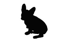 Dog Silhouette. PNG Silhouette Of Dog Isolated Transparent