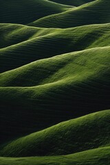 Poster - A solitary tree stands tall in the center of a lush green field. Ideal for nature and landscape themes