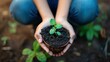 A pair of hands is cradling a small plant with green leaves, which is in soil contained within a half cut sphere, likely representing growth, care, or environmental conservation.