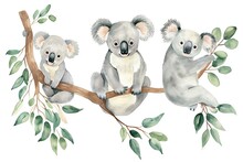 Set Of Koala, Different Poses Watercolor Style, Adorable, White Background