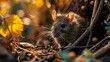 a brown rat sitting on top of a pile of dirt next to a bunch of leaves and a leafy green plant with yellow flowers in it's foreground.