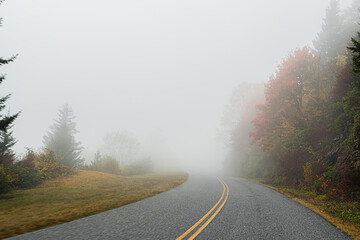 Wall Mural - Road in the fog of mystery