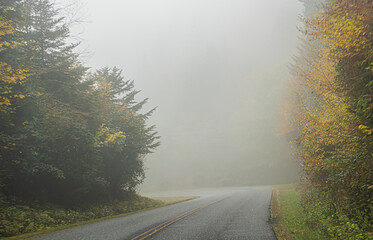 Wall Mural - Road in the fog of mystery