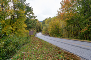 Wall Mural - A Stunning view to the road of autumn