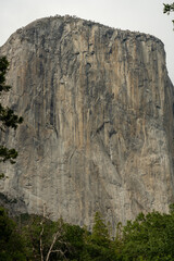 Wall Mural - Giant Granite Rock Face Of El Capitan In Yosemite