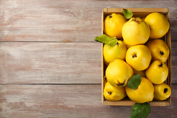 Wall Mural - Tasty ripe quince fruits in crate on wooden table, top view. Space for text