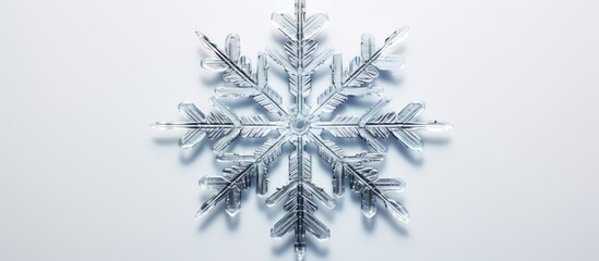 Canvas Print - Isolated real snowflake photo on white background