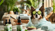 © Ariwasabi - Pampered Dog Pooch Indulges in Spa Day Enjoying CBD oils: The Rising Trend of CBD Oil for Pet Relaxation and Wellness. Funny Image made with Generative AI Technology.