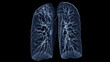 CT Chest or Lung 3d rendering image  showing Trachea and lung in respiratory system..