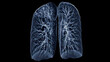 CT Chest or Lung 3d rendering image  showing Trachea and lung in respiratory system..
