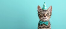 Celebration, Happy Birthday, Sylvester New Year's Eve Party, Funny Animal Greeting Card - Cute Little Cat Pet With Party Hat And Bow Tie On Blue Wall Background Texture