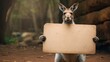 Portrait of a kangaroo with blank banner. Copy-space.