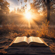 open bible in a serene background with the sunlight shinning on int