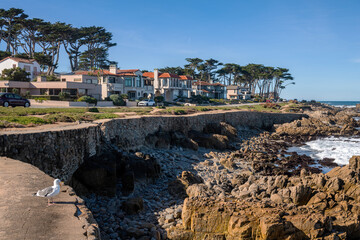 Monterey California shoreline landscape and houses.