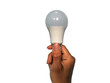 © Zulailar Studio - LED eco light bulb in hand on white background