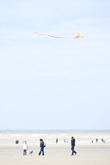 Canvas Print - Le Festival des Cerfs-Volants à Berck-sur-mer