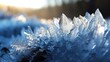  a close up of a bunch of ice crystals on top of a pile of snow flakes with the sun shining through the ice crystals on top of the snow flakes.