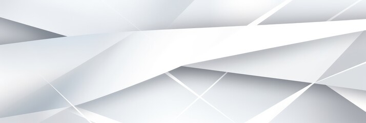 Poster - abstract white geometric background banner design straight