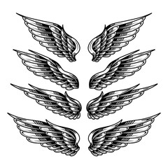 Wall Mural - vector set of vintage angel wings tattoos