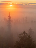 Fototapeta Na ścianę - Sun rising above the sea of fog