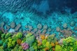 © Louis Deconinck - Breathtaking Aerial View of Vibrant Coral Reefs