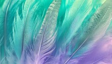 Green Turquoise And Blue Color Trends Chicken Feather Texture Background Light Purple Violet