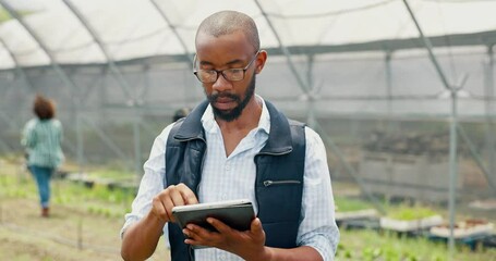 Wall Mural - Research, tablet or black man in farm for agriculture or sustainability, production or website info. Business, greenhouse or farmer in countryside for ngo checklist online, agro development or crops