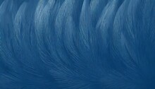 Beautiful Pastel Dark Blue Color Trends Feather Pattern Texture Background