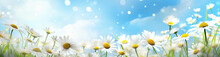 Daisy And Daisy Flower Flower In Summer, In The Style Of Bokeh Panorama, Realistic Blue Skies, Abstract Landscape, 3840x2160, Light-filled


