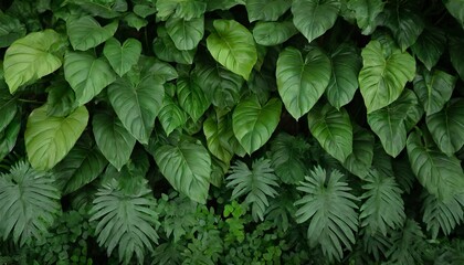 group of dark green tropical leaves background nature lush foliage leaf texture tropical leaf