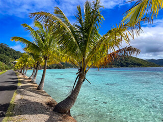 Taha'a's paradise, French Polynesia