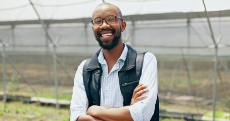 Wall Mural - Farmer, smile or face of black man with arms crossed or pride in agriculture farming or gardening. Portrait, happy or business owner with organic crops or food production in eco friendly greenhouse
