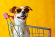 Shopping carts and Dogs with r glasses. Puppy in grocery shopping cart at market. Dog in basket. Shopping with dog