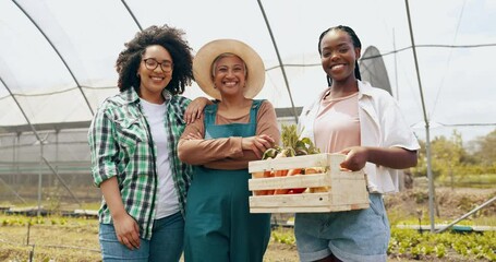 Wall Mural - Farm, agriculture or face of women with basket of vegetables, harvest or fresh produce. Farming sustainability, greenhouse or happy farmers with teamwork or crate of organic, natural and healthy food