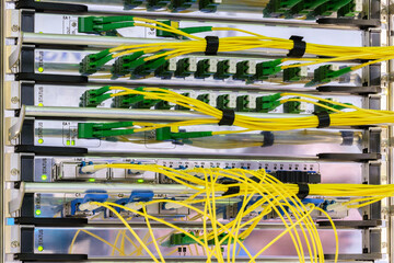 Poster - Fiber Optical cables connected to an optic ports and Network cables connected to ethernet ports, network  technology concept