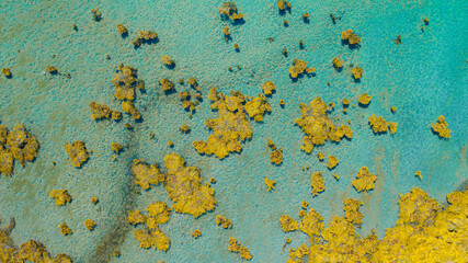 Poster - Tropical sea aerial with grassy islands as background
