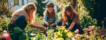 People Plant Plants And Flowers In The Garden. Selective Focus.