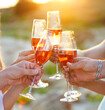 © Dasha Petrenko - Group of friends toasting champagne sparkling wine