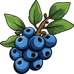 Wall Mural - Blueberries clipart design illustration