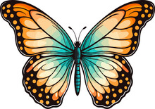 Butterfly Clipart Design Illustration