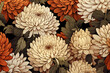 Illustrated background from Chrysanthemum