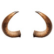 Bull horns isolated on a transparent or white background. Horn overlay for insertion. Design elements to insert into a design or project.