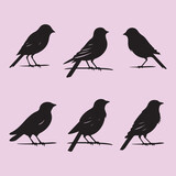 Fototapeta Dinusie - Finch bird set black silhouette vector Clip art