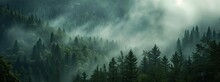 Mystic Forest Fog: Textured Organic Landscape And Atmospheric Mountain Vista Paintings