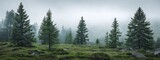 Fototapeta Las - Misty Enchantment: Swiss Realism Pine Forest