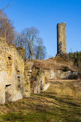 Canvas Print - Lower and Upper Castles ruins, Podhradi near As, Western Bohemia, Czech Republic